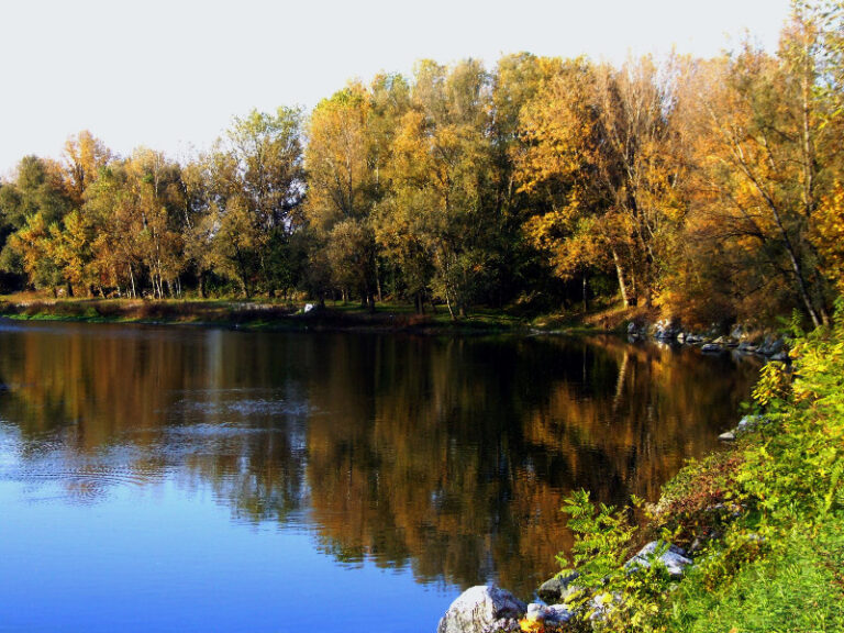 Rassegna “Essenze di Fiume” – autunno 2026