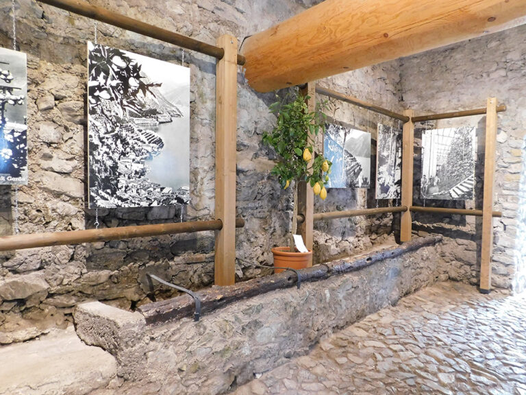 Visite alla Limonaia del Castel 2026